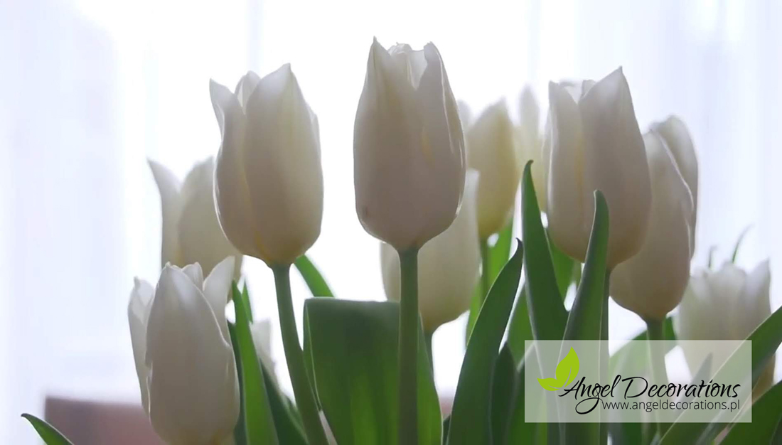 dekoracje-kwiatki-Angeldecorations-krakow